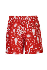 Pantaloneta De Niño Nopal Terra