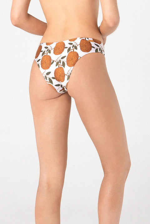 BOTTOM ANNONA 42 PRINTED