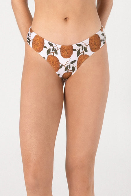 BOTTOM ANNONA 42 PRINTED