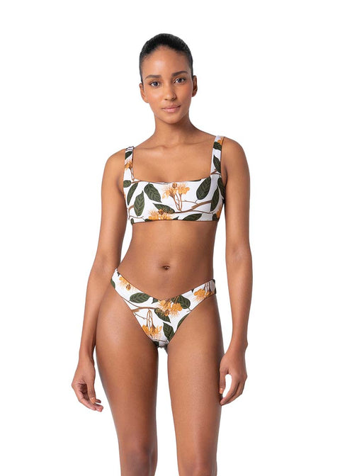 BOTTOM DURIAN 12 PRINTED