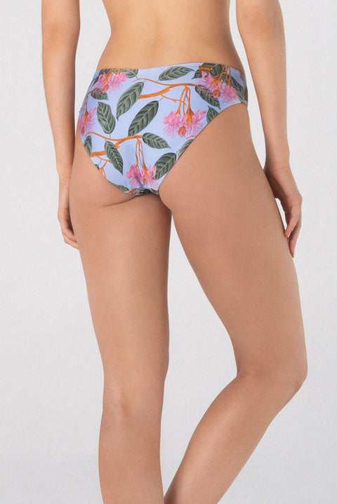 BOTTOM LIRIO 72 PRINTED