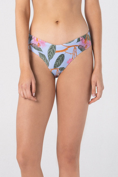 BOTTOM LIRIO 72 PRINTED