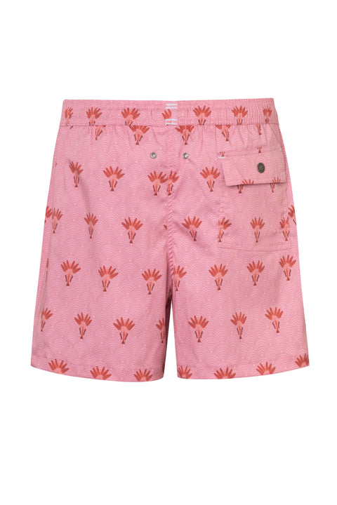 SWIM TRUNK CLASSIC CUT PALEMA1 ORCHID
