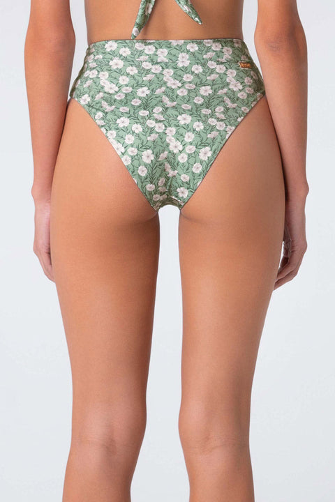 BOTTOM ALELI 42 PRINTED