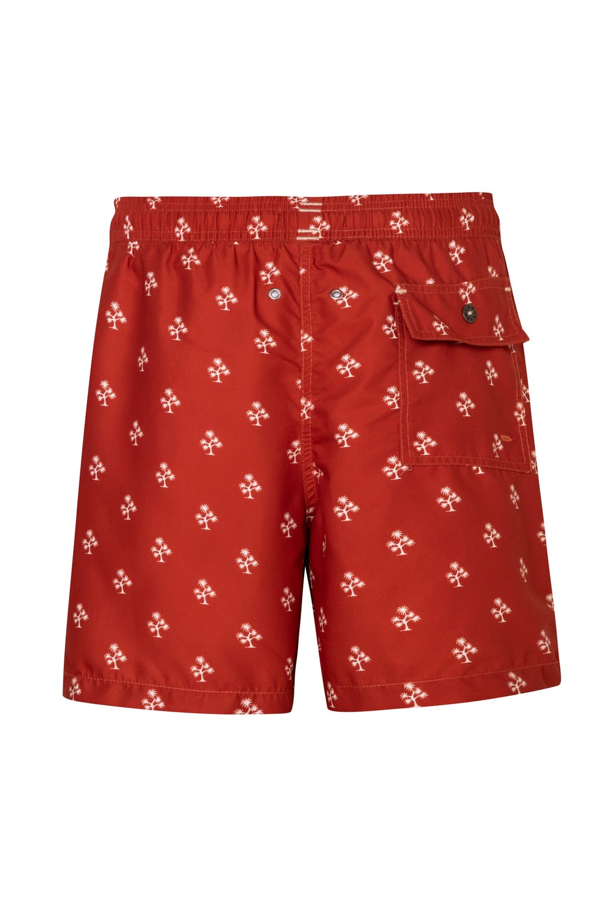 Pantaloneta De Niño Palmara Terra